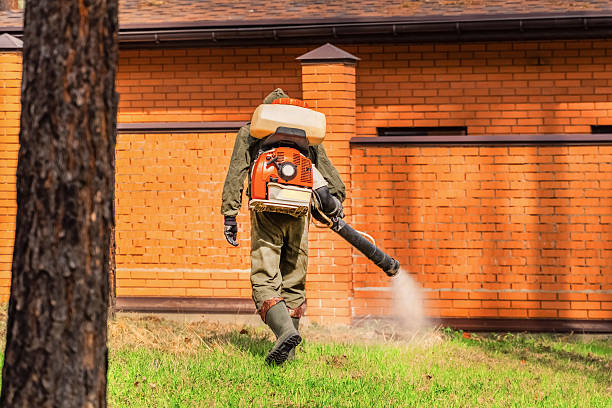 Trusted Ant Control service in Pine Grove Mills, PA - Nex Pest Control